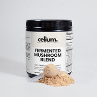Fermented Mushroom Superfood